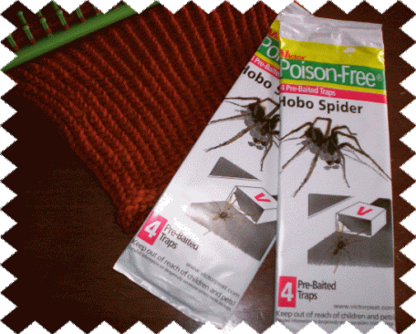 Halloween in August?!