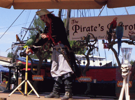 Pirate & Parrots