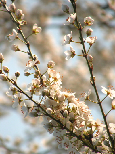 …can’t you almost smell them through the computer screen?