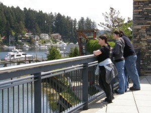 looking-out-over-gig-harbor